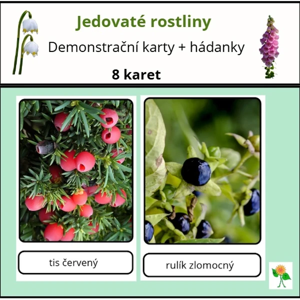 Jedovaté rostliny - demonstrační karty + hádanky