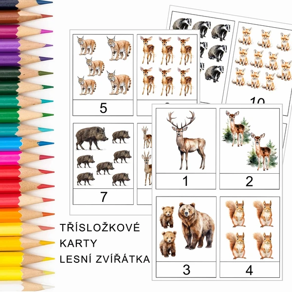 POČÍTÁNÍ 1-10 LESNÍ ZVÍŘÁTKA TŘÍSLOŽKOVÉ KARTY