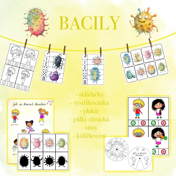 Bacily