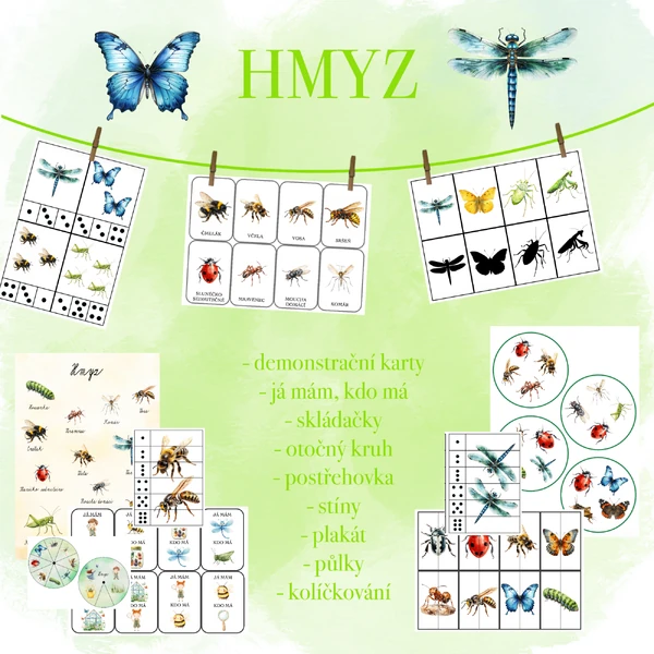 Hmyz