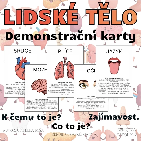LIDSKÉ TĚLO - demonstrační obrázky s popisem