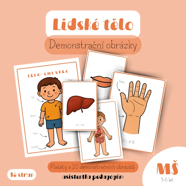 Lidské tělo - demonstrační obrázky a plakáty