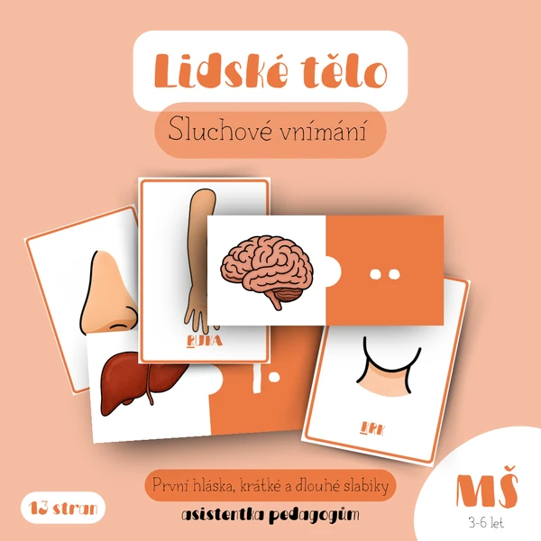 Lidské tělo - sluchové vnímání