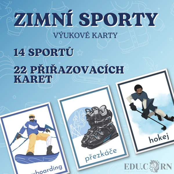 Výukové karty "Zimní sporty a aktivity"
