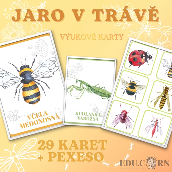 🌼 Jaro v trávě – Hmyz 🌼 (výukové karty + PEXESO)