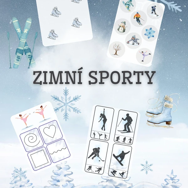 Zimní sporty 