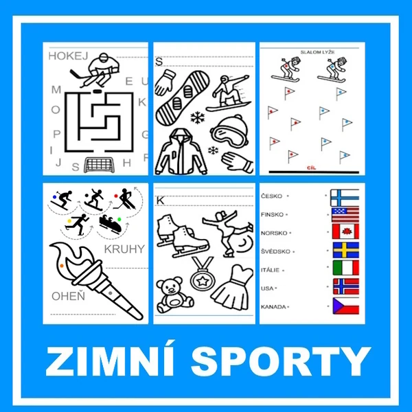 Zimní sporty