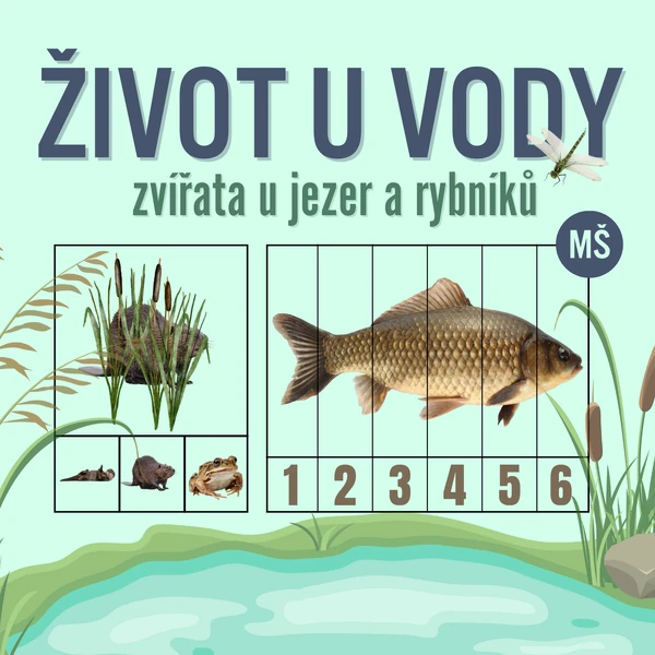 Život u vody - zvířata u jezer a rybníků