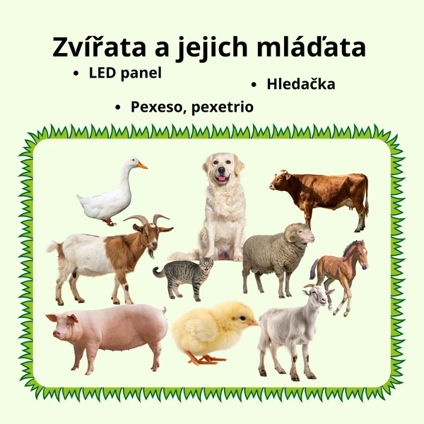 Zvířata a jejich mláďata