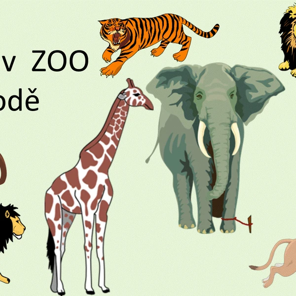 Zvířata v ZOO a v přírodě