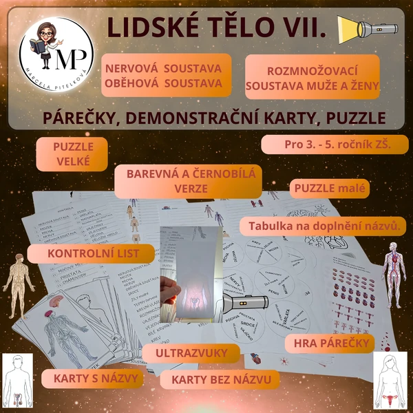 Lidské tělo VII. - nervová s., oběhová s. a rozmnožovací soustava muže a ženy