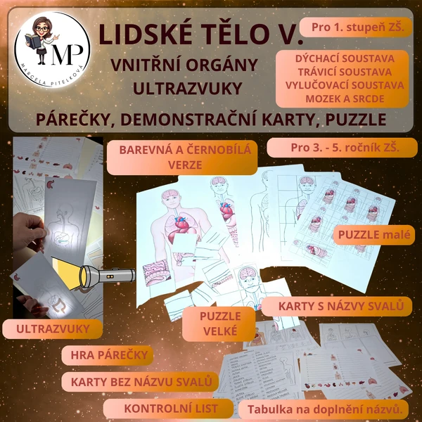 Lidské tělo V. - vnitřní orgány