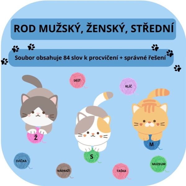 Rod mužský, ženský, střední_KOČIČKY