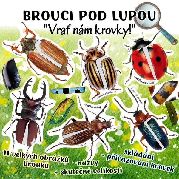 BROUCI POD LUPOU - "Vrať nám krovky!"
