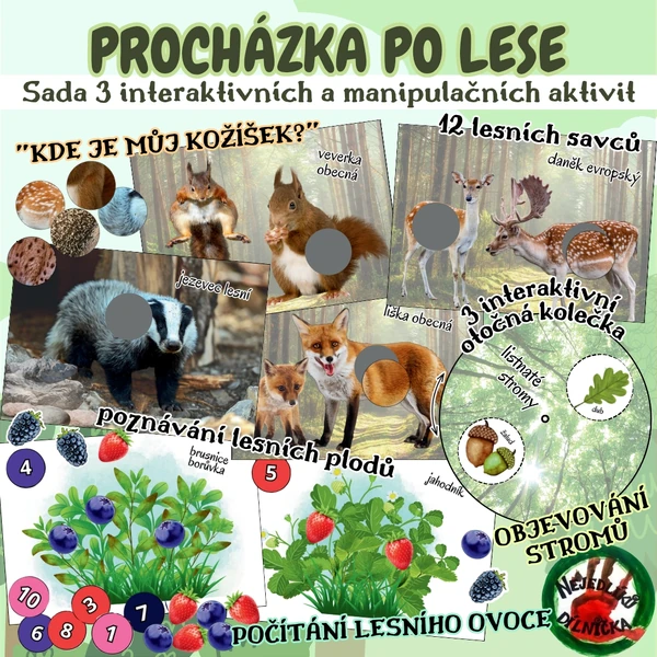 PROCHÁZKA PO LESE