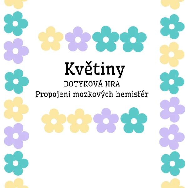 JARO-Propojení mozkových hemisfér 2