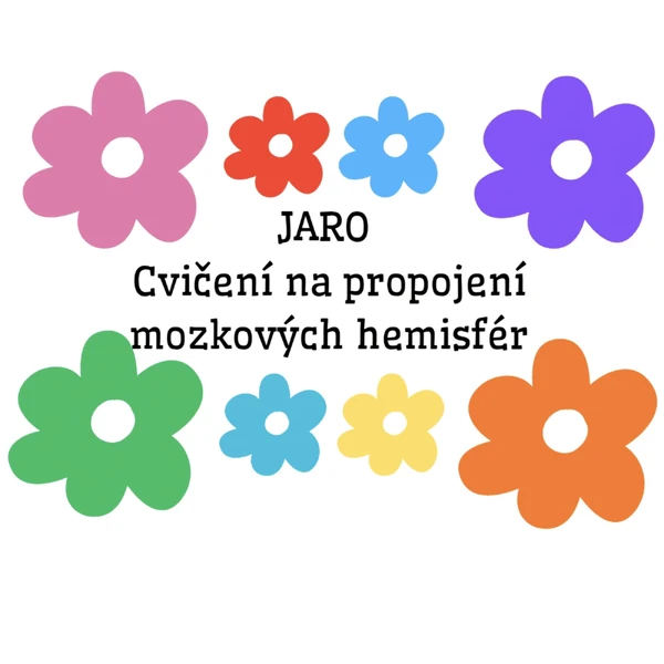 JARO- Propojení mozkových hemisfér 3