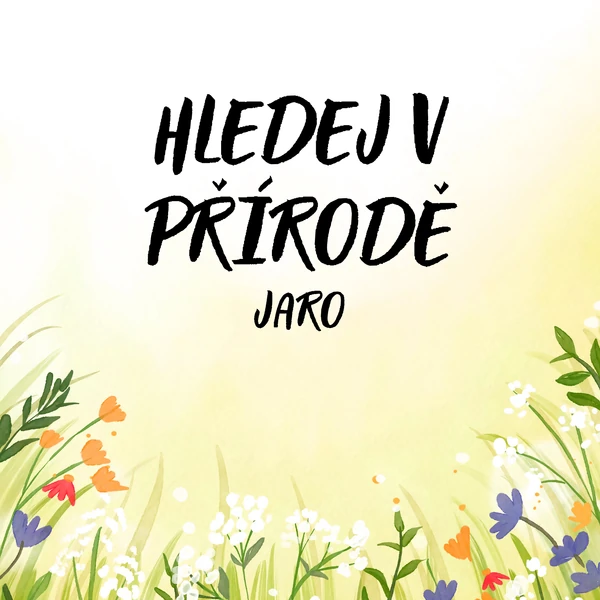 HLEDÁNÍ V PŘÍRODĚ - JARO