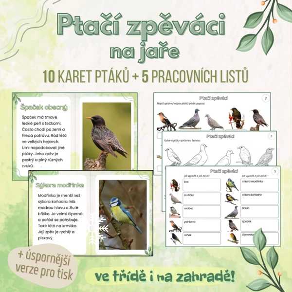 Ptačí zpěváci