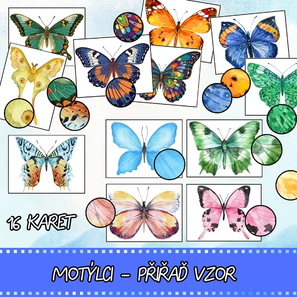 Motýlci - přiřaď vzor