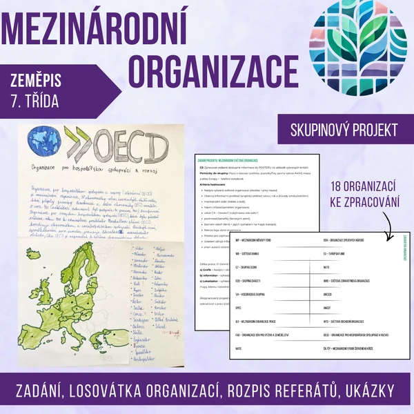 Mezinárodní organizace