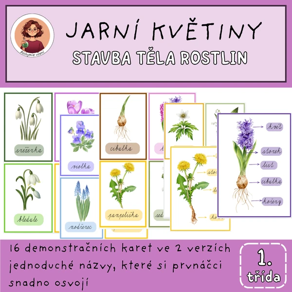 Jarní rostliny, stavba těla rostlin