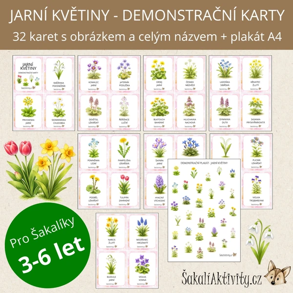  Jarní květiny - demonstrační karty 