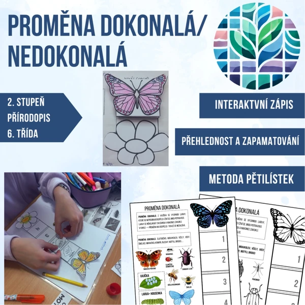 Proměna dokonalá/ nedokonalá- hmyz