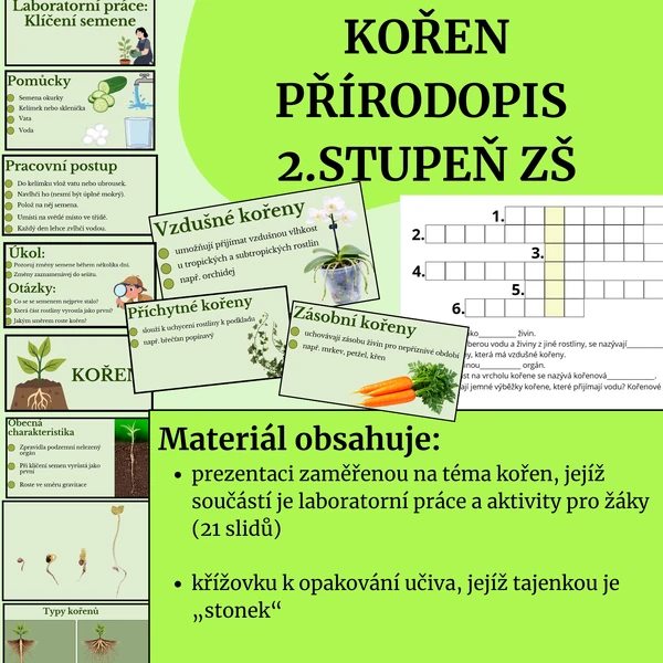 Kořen 