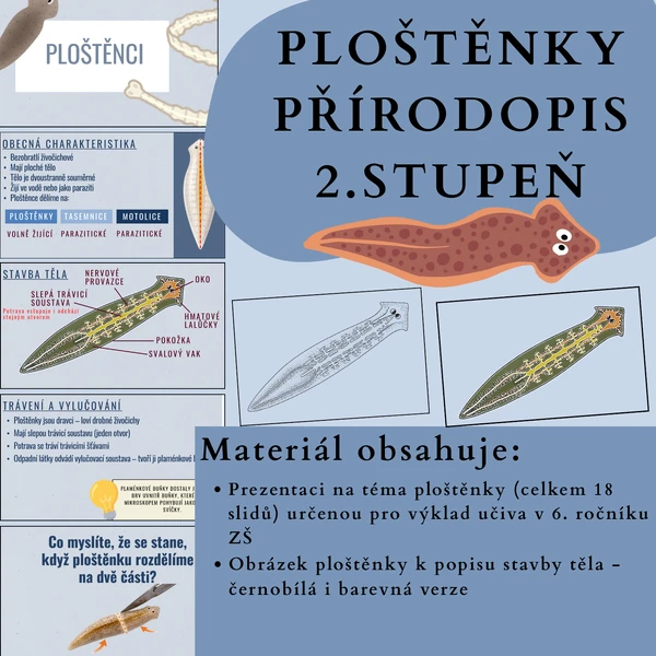 Ploštěnky