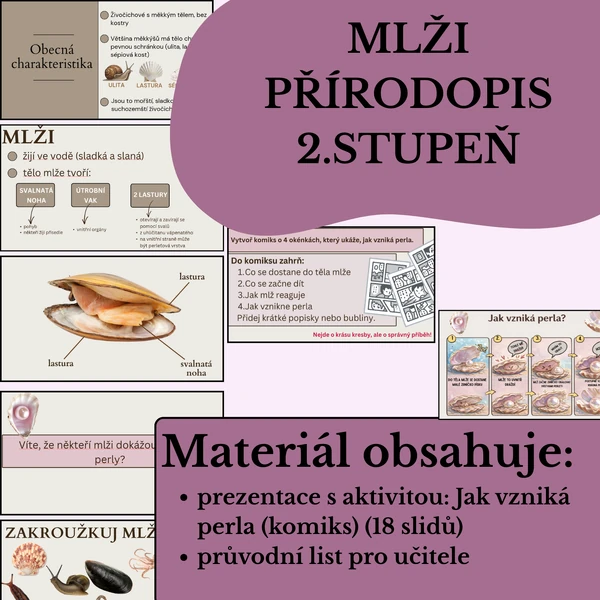Měkkýši - mlži