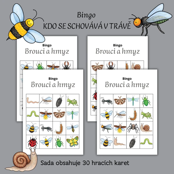 Bingo - Kdo se schovává v trávě