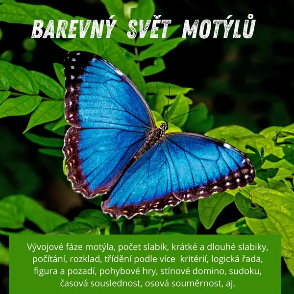 BAREVNÝ SVĚT MOTÝLŮ - pro MŠ