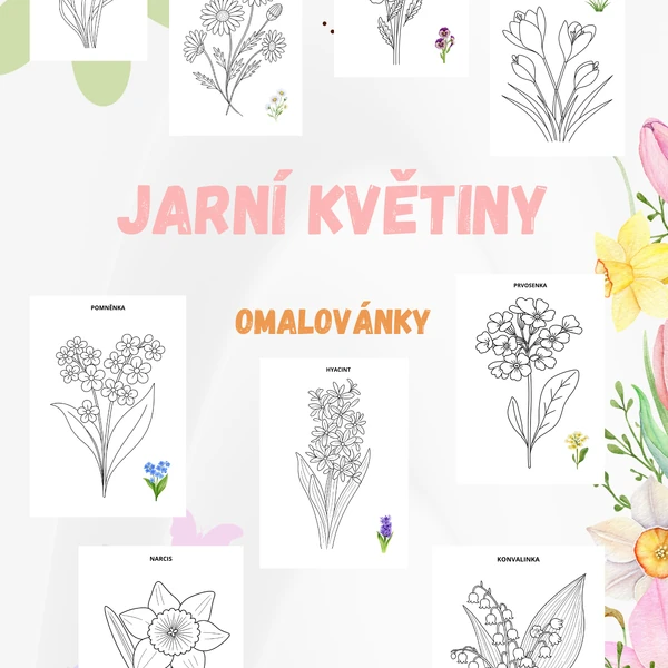 Jarní květiny omalovánky