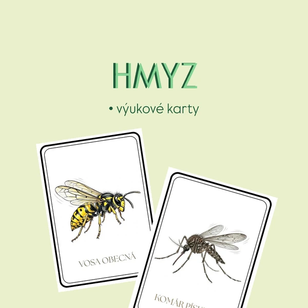 Hmyz