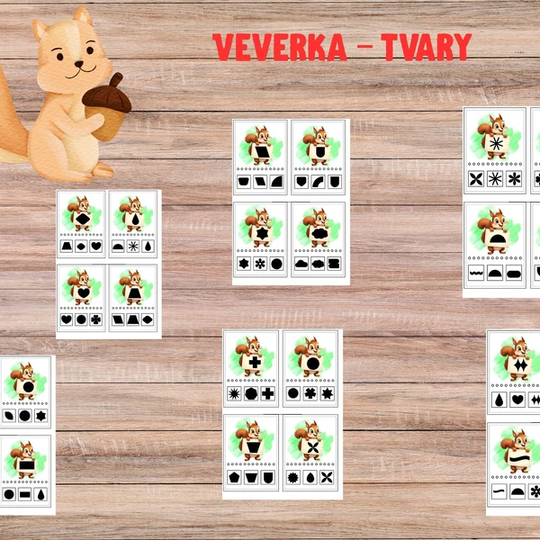 Veverka – tvary