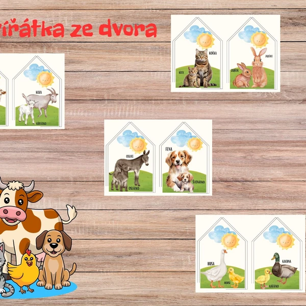 Zvířátka ze dvora