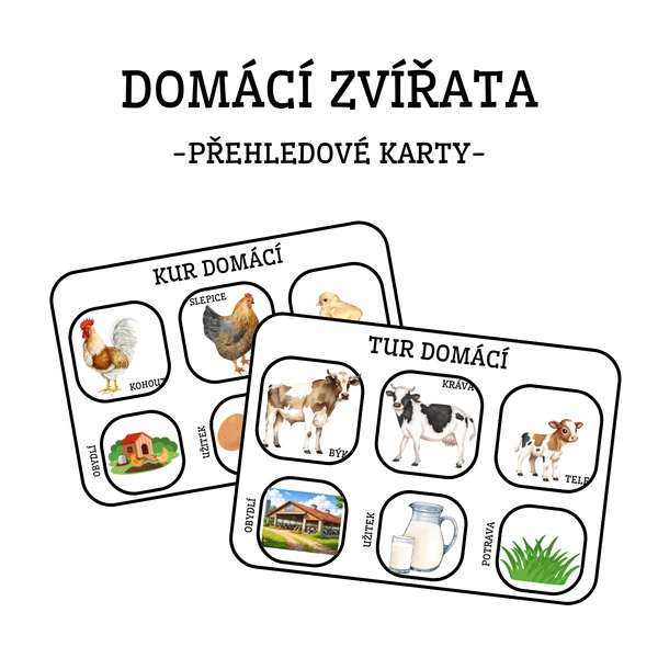 Domácí zvířata - přehledové karty