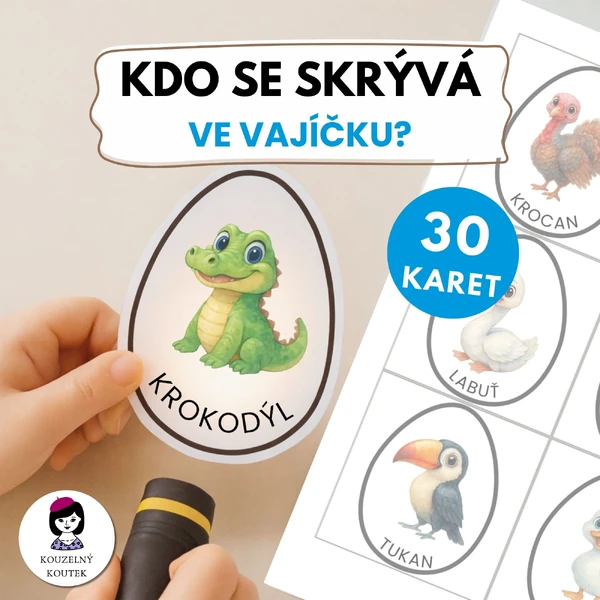 Prosvětlovačky - kdo se skrývá ve vajíčku? | Vajíčka | Zvířata