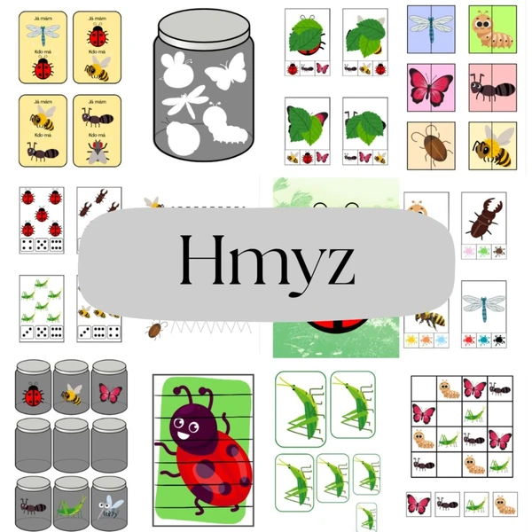 Hmyz