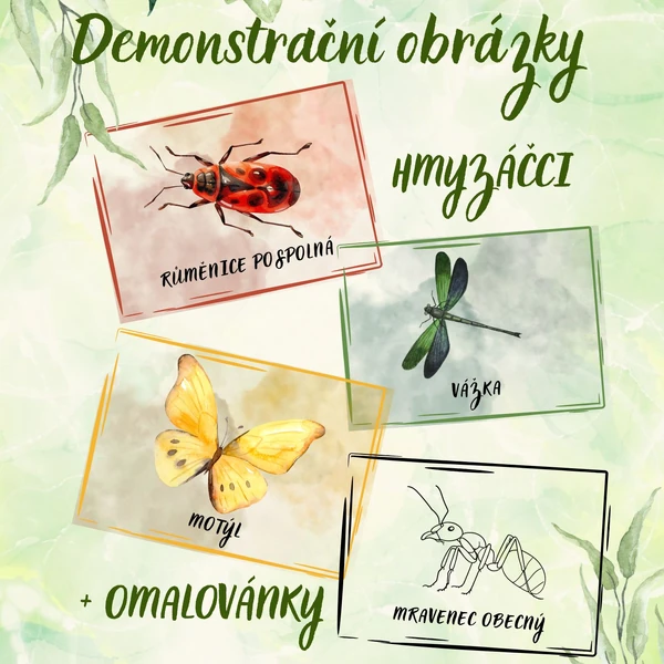 Hmyzáčci - Demonstrační obrázky