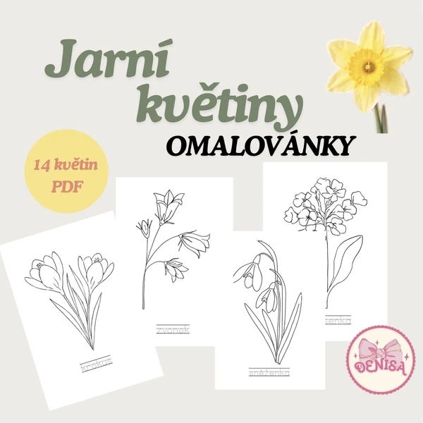 Jarní květiny - omalovánky 