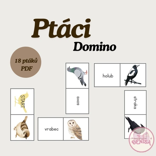 Ptáci - domino
