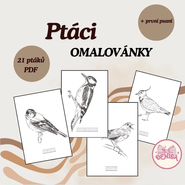 Ptáci - omalovánky 