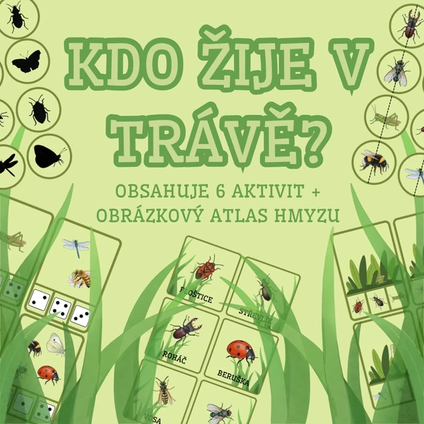 Kdo žije v trávě?