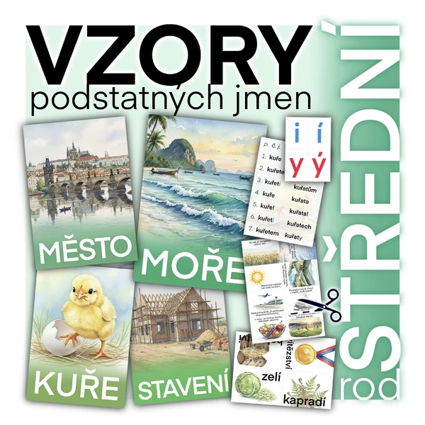 VZORY podstatných jmen rodu středního