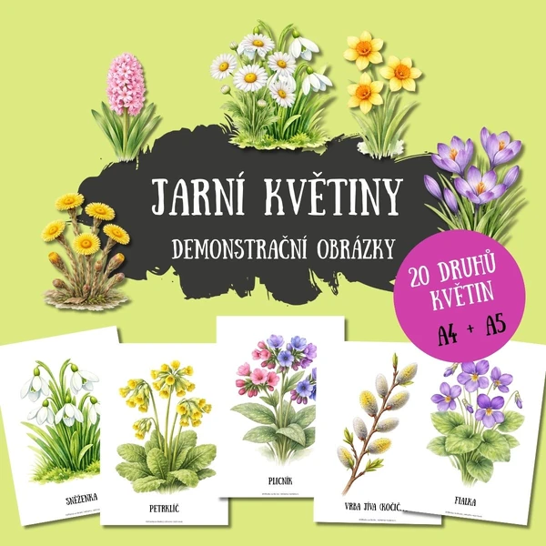 Jarní květiny - demonstrační obrázky