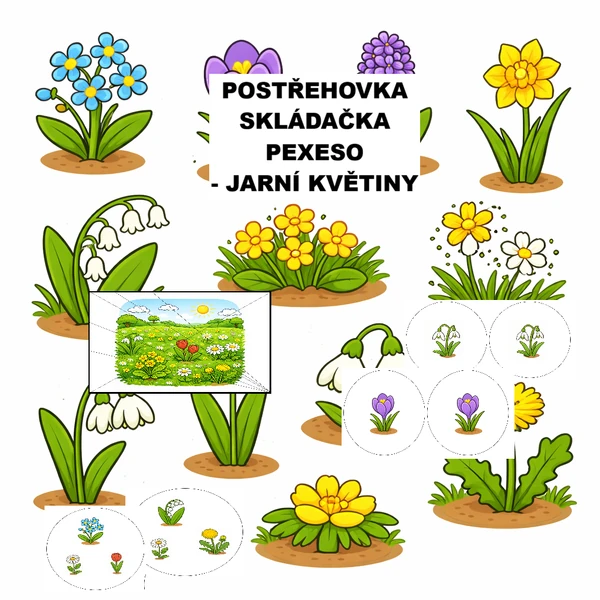 Postřehovka, skládačka, pexeso - jarní květiny