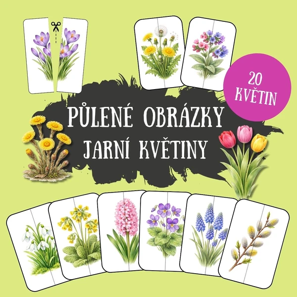 Jarní květiny - půlené obrázky (20 karet)
