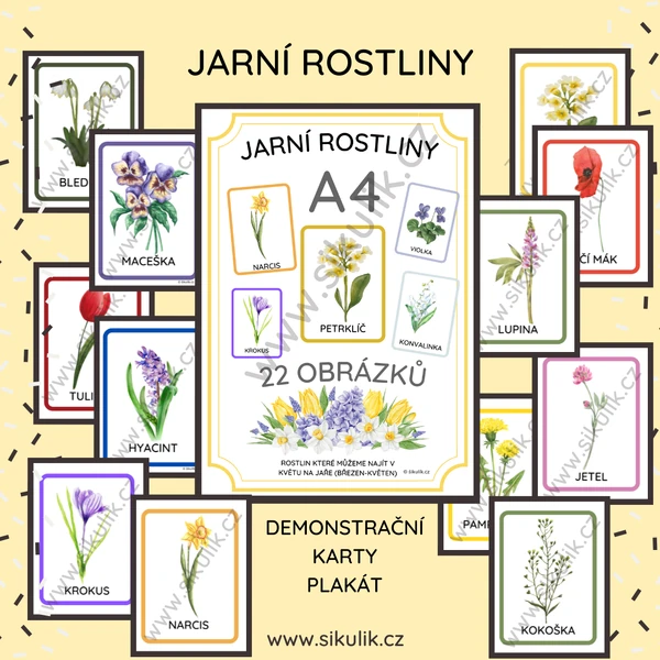 JARNÍ ROSTLINY PLAKÁT+ DEMONSTRAČNÍ KARTY